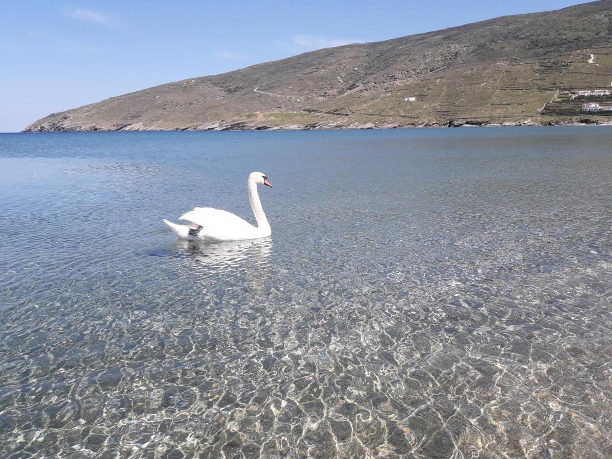 Liopi Village Andros Ormos  Bagian luar foto